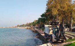 GAZİPAŞA CADDESİ ÇEVRESİNDEKİ YOSUNLAR TEMİZLENDİ