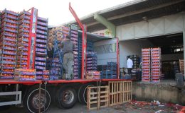 31 BİN 96 TON ÇIKIŞ YAPILDI