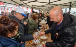 YALOVA’DA ATA TOHUMU ŞENLİĞİNE YOĞUN İLGİ
