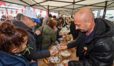 YALOVA’DA ATA TOHUMU ŞENLİĞİNE YOĞUN İLGİ