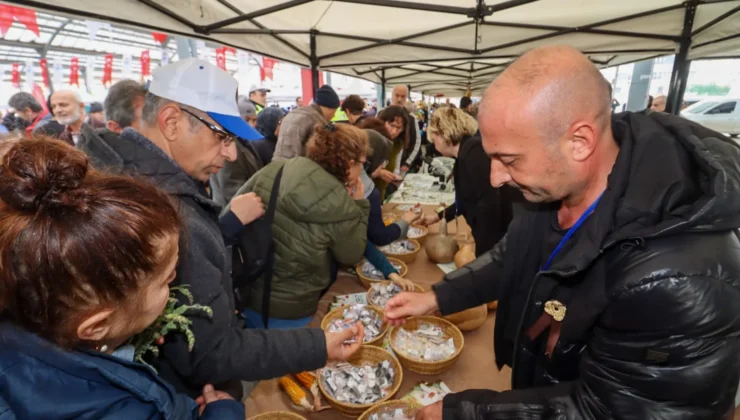 YALOVA’DA ATA TOHUMU ŞENLİĞİNE YOĞUN İLGİ